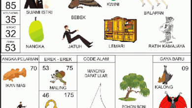 erek erek 75