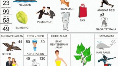 erek erek 30