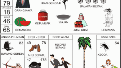 erek erek 78