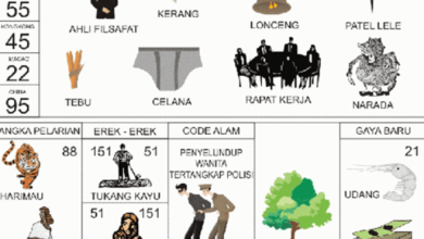 erek erek 51