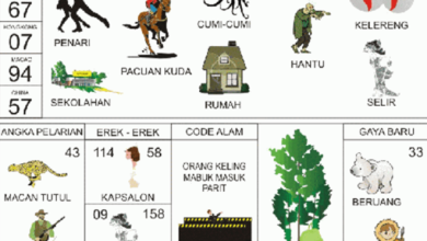 erek erek 58